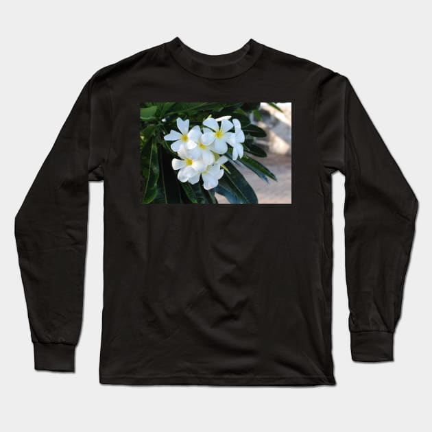 Frangipani or Yellow and White Plumeria flowers, Barbados, WI Long Sleeve T-Shirt by zwrr16